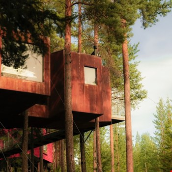 Vakantie in Scandinavië: 5 bijzondere manieren voor een perfecte coolcation